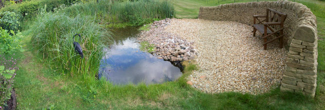 wildlife pond